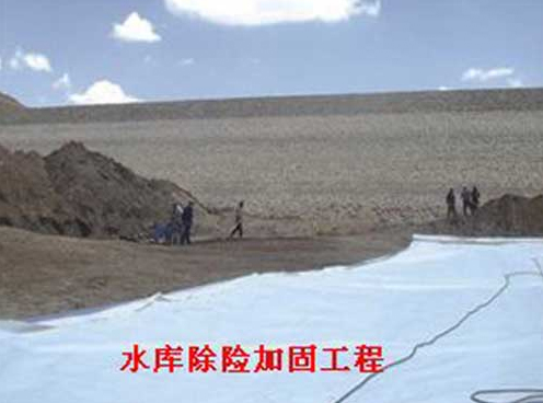 复合土工膜应用于新疆水库除险加固工程